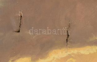 Tábory B. jelzéssel: Vihar előtt. Olaj, vászon. Sérült (több helyen lyukas). 50x69 cm