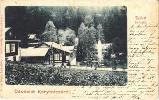 1901 Koritnyica, Korytnica; fedett sétány. Lechnitzky O. 41. / promenade