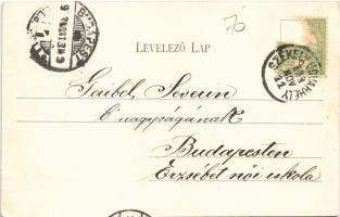 1903 Székelyudvarhely, Odorheiu Secuiesc; Kossuth Lajos utca, Budapest szálloda, Kir. Erdészeti hiva...
