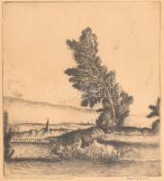 Komjáti-Wanyerka Gyula (1894-1958): Táj. Rézkarc, papír, jelzett, autográf ajándékozási sorokkal. Üvegezett fa keretben, 27,5x24,5 cm