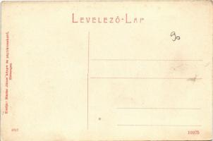 Nalácvád, Nalác, Nalatvad (Hátszeg, Hateg); Naláczy-Fáy kastély. W. L. (?) 1717. Mester János kiadás...