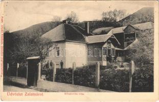 1914 Zalatna, Zlatna; Mihalovits villa. Nagy Árpád kiadása / villa (EM)