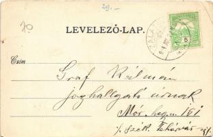 1914 Zalatna, Zlatna; Mihalovits villa. Nagy Árpád kiadása / villa (EM)