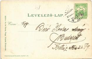 1913 Temesvár, Timisoara; Losonczy tér, hetivásár, piac. Káldor Zs. és Társa kiadása / square, marke...