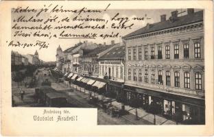 1904 Arad, Andrássy tér, városi vasút, kisvasút, Schaffer Henrik, Róth testvérek, Andrényi Károly és Fiai üzlete / square, urban railway, shops (EK)