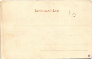 Kolozsvár, Cluj; Képek a Múzeum-kertből. A botanikus kert székelykapuja, a fenyőfélék és a füvek gyo...