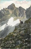 1907 Tátra, Magas-Tátra, Vysoké Tatry; Kerbchen-csúcs. Dr. Trenkler Co. Tát. 45. / Kerbchen-Spitze / mountain peak (EK)