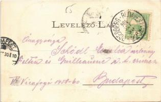 1904 Fülek, Filakovo; vár, Csevice-forrás. Andor Ernő kiadása / castle ruins, spring source (r)