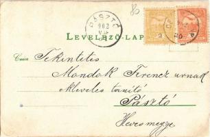 1902 Mór, Mártonnapi táncosok templomba menete. Wiesner István kiadása. Art Nouveau, floral, litho (...