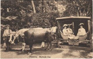 Madeira, Bullock Car (cut)