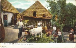 Madeira, Costume campestre / folklore, ox cart