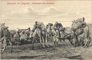 Izmir, Smyrne; Campement des chameaux / camel camp