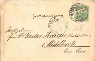 1905 Kisdemeter, Waltersdorf, Dumitrita; Pfarrhaus / Paplak / rectory (fl)