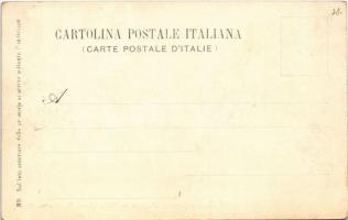 Cadore, Lago di Misurina, Monte Sorapis / lake, mountain, hotel