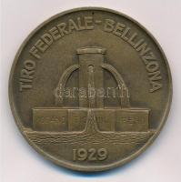 Svájc 1929. TIRO FEDERALE - BELLINZONA 1929 kétoldalas Br emlékérem (50mm) T:2 kis ly.