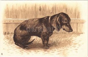 Tacskó. Dombornyomott / Dachshund dog. Raphael Tuck & Sons Art Series 1983. Emb. litho