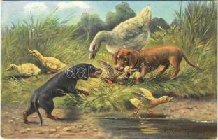 1904 Vadászkutyák libákkal / Hunting dogs with geese s: A. Müller