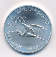 2006. 5000Ft Ag "Fertő kultúrtáj" kapszulában, tanúsítvánnyal T:BU Adamo EM203