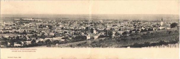 Fehértemplom, Ung. Weisskirchen, Bela Crkva; látkép a szőlőheggyel. Két részes kihajtható panorámalap, Berthold Hepke / vineyard. 2-tiled folding panoramacard  (Rb)