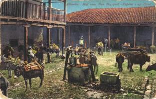1916 Albania, Shqypnie; Hof eines Han / Kopshti i nji Hanit / garden of an inn (EK)