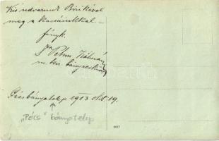 1913 Pécs, Pécsbányatelep, ház udvara kacsákkal. photo