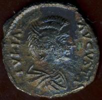 Római Császárság IULIA DOMNA 193-217. Denár Ag T:3