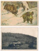 4 db RÉGI vadász motívum képeslap: vaddisznók / 4 pre-1945 hunting motive postcards: wild boars