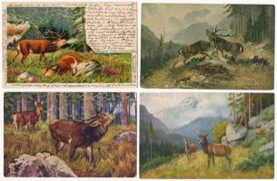 4 db RÉGI vadász motívum képeslap: szarvas / 4 pre-1945 hunting motive postcards: deer