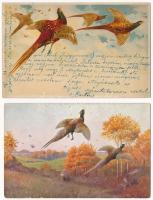 4 db RÉGI vadász motívum képeslap: fácán / 4 pre-1945 hunting motive postcards: Pheasants