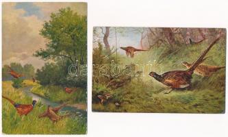 4 db RÉGI vadász motívum képeslap: fácán / 4 pre-1945 hunting motive postcards: Pheasants