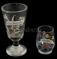 2 db német üveg emlékpohár, plasztikus kézzel festett havasi gyopár (Edelweiss) díszítéssel, az egyik anyagában színezett. Apró csorbákkal, kopásokkal. m: 14,5 cm és 8,5 cm
