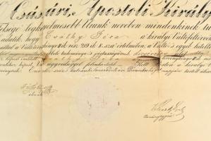 1896 Csáthy Géza (1847-1875) író, költő, színműíró, váltóügyvédi diplomája, aláírásokkal, a hátoldal...