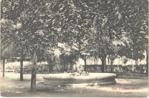 1911 Pöstyén, Piestany; park. Laufer Nándor kiadása