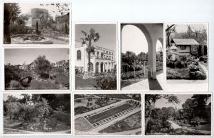 Kolozsvár, Cluj; Botanikus kert / botanical garden - 8 db régi képeslap / 8 pre-1945 postcards