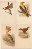 11 db RÉGI használatlan motívum képeslap: madarak, több lithoval / 11 pre-1945 unused motive postcards: birds, some lithos