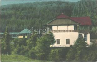 1931 Maroshévíz, Toplita; Baia Bánffy, Vila Dezső / Dezső villa