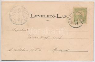 1904 Kaposvár, utca, Pollák József, Geiszler Nep. János üzlete. Gerő Zsigmond kiadása (ázott / wet d...