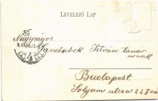 1905 Verőce, Nógrádverőce; Dunasor, nyaraló (vágott / cut)