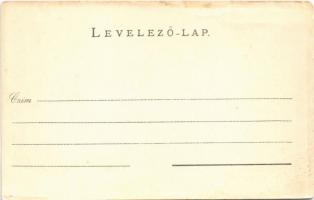 Sirok, várrom. Baross nyomda (ázott sarok / wet corner)