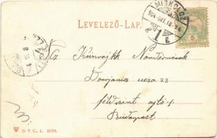 1904 Miskolc, Erzsébet tér, Kossuth szobor, üzletek, gyógyszertár. D.T.C.L. (EK)