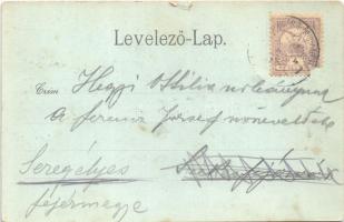 Tata, Tata-Tóváros; vár. Nobel Adolf kiadása (szakadás / tear)