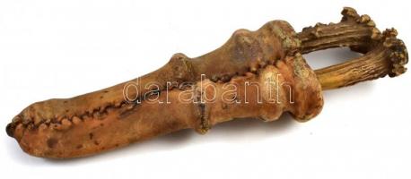 Antik szarvasagancs nyelű vadász kés és villa, bőr tokban, h: 20 cm