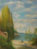 Igaly jelzéssel: Tengerparti részlet; olaj, vászon 44x33 cm