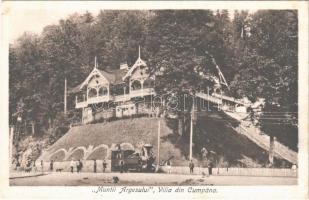 Cumpana, Muntii Argesului Villa, narrow gauge railway, locomotive, train