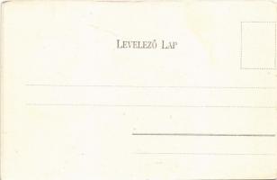 Hévíz, Zenepavilon zenekarral (felületi sérülés / surface damage)