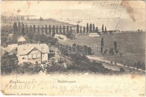 1905 Balatonboglár, Balaton-part, nyaraló, villa. Kampmann H. kiadása (EM)
