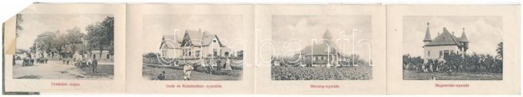 1910 Balatonkeresztúr, Dr. Bernát nyaraló. leporellolap, belül nyaralók, villák. Müller Vilmos kiadá...