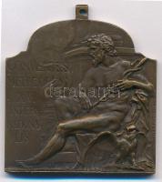 Ifj. Vastagh György (1868-1946) 1909. "XVI. Nemzetközi Orvos Kongresszus - Budapest" Br plakett szalag nélkül. "MCMIX BUDAPESTINI / CONVENTUS MEDICORUM XVI INTERNATIONALIS" (44x40mm) T:1-,2 / Hungary 1909. "XVIth International Medical Congress" Br plaque. Sign: György Vastagh, Ifj. (44x40mm) C:AU,XF patina HP 6363., HV 1398.