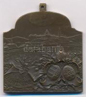 Ifj. Vastagh György (1868-1946) 1909. "XVI. Nemzetközi Orvos Kongresszus - Budapest" Br pl...