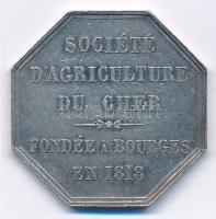 Franciaország ~1818. SOCIÉTÉ DAGRICULTURE DU CHER - FONDÉE A BOURGES EN 1818 (Cher-i Mezőgazdasági Társaság - Alapítva Bourges-ben, 1818-ban) peremen jelzett kétoldalas Ag emlékérem (8,43g/28x28mm) T:2